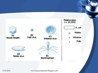 5/18/2018 32www.drjayeshpatidar.blogspot.com
 
