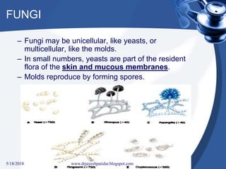 FUNGI
– Fungi may be unicellular, like yeasts, or
multicellular, like the molds.
– In small numbers, yeasts are part of the resident
flora of the skin and mucous membranes.
– Molds reproduce by forming spores.
5/18/2018 34www.drjayeshpatidar.blogspot.com
 