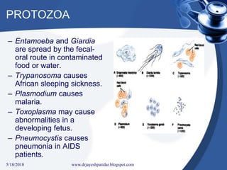 PROTOZOA
– Entamoeba and Giardia
are spread by the fecal-
oral route in contaminated
food or water.
– Trypanosoma causes
African sleeping sickness.
– Plasmodium causes
malaria.
– Toxoplasma may cause
abnormalities in a
developing fetus.
– Pneumocystis causes
pneumonia in AIDS
patients.
5/18/2018 37www.drjayeshpatidar.blogspot.com
 
