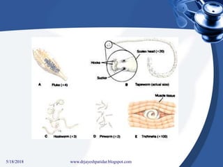5/18/2018 42www.drjayeshpatidar.blogspot.com
 