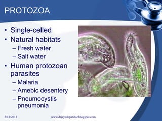 PROTOZOA
• Single-celled
• Natural habitats
– Fresh water
– Salt water
• Human protozoan
parasites
– Malaria
– Amebic desentery
– Pneumocystis
pneumonia
5/18/2018 6www.drjayeshpatidar.blogspot.com
 