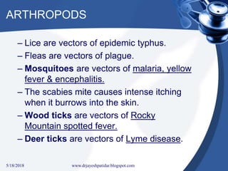 ARTHROPODS
– Lice are vectors of epidemic typhus.
– Fleas are vectors of plague.
– Mosquitoes are vectors of malaria, yell...