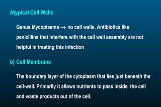 Microbiology | PPT