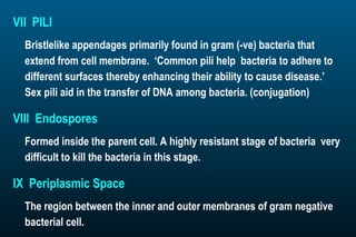 Microbiology | PPT