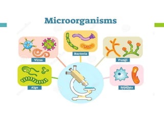Microbiology | PPTX
