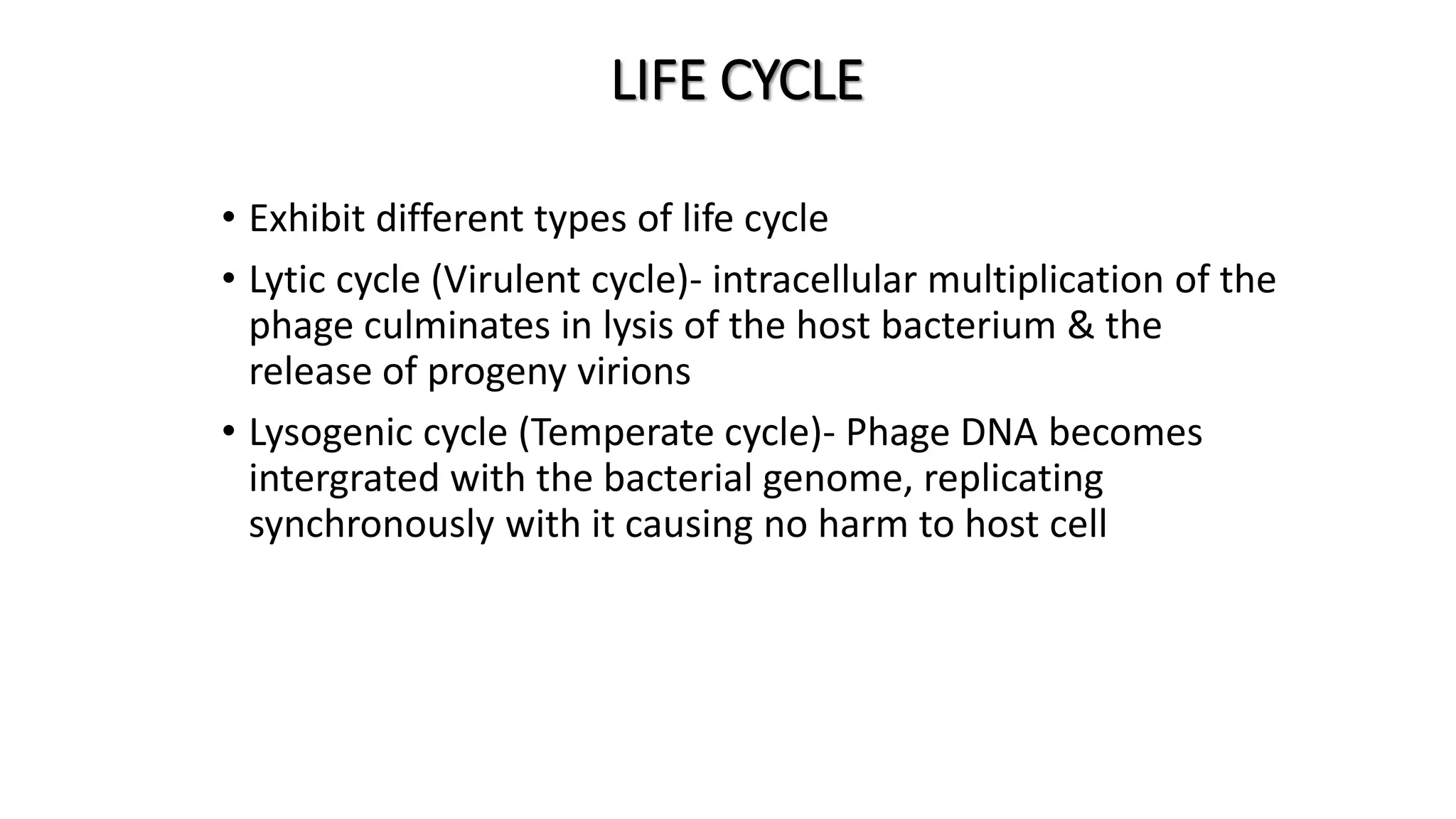 LIFE CYCLE
• Exhibit different types of life cycle
• Lytic cycle (Virulent cycle)- intracellular multiplication of the
phage culminates in lysis of the host bacterium & the
release of progeny virions
• Lysogenic cycle (Temperate cycle)- Phage DNA becomes
intergrated with the bacterial genome, replicating
synchronously with it causing no harm to host cell
 