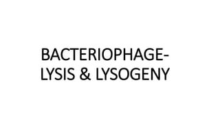 BACTERIOPHAGE-
LYSIS & LYSOGENY
 