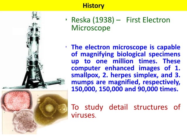 Microbiology | PPT