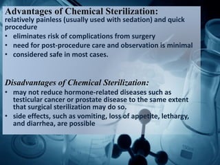 Advantages of Chemical Sterilization:
relatively painless (usually used with sedation) and quick
procedure
• eliminates risk of complications from surgery
• need for post-procedure care and observation is minimal
• considered safe in most cases.
Disadvantages of Chemical Sterilization:
• may not reduce hormone-related diseases such as
testicular cancer or prostate disease to the same extent
that surgical sterilization may do so.
• side effects, such as vomiting, loss of appetite, lethargy,
and diarrhea, are possible
 