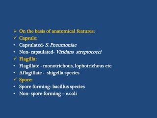  On the basis of anatomical features:
 Capsule:
• Capsulated- S. Pneumoniae
• Non- capsulated- Viridans streptococci
 Flagilla:
• Flagillate - monotrichous, lophotrichous etc.
• Aflagillate - shigella species
 Spore:
• Spore forming- bacillus species
• Non- spore forming – e.coli
 