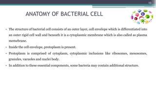 ANATOMY OF BACTERIAL CELL
• The structure of bacterial cell consists of an outer layer, cell envelope which is differentiated into
an outer rigid cell wall and beneath it is a cytoplasmic membrane which is also called as plasma
memebrane.
• Inside the cell envelope, protoplasm is present.
• Protoplasm is comprised of cytoplasm, cytoplasmic inclusions like ribosomes, mesosomes,
granules, vacuoles and nuclei body.
• In addition to these essential components, some bacteria may contain additional structure.
13
 