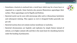 • Sometimes a bacteria is enclosed into a viscid layer which may be a loose layer or
organised as a capsule. Some bacteria also possess filamentous appendages their
surface. These appendages can be flagella and fimbrae.
• Bacterial nuclei can be seen with microscope after acid or ribonuclease hydrolysis
and subsequent staining. They appear as oval or elongated bodies generally one
per cell.
• Bacterial nucleus does not contain nuclear membrane or nucleolus.
• Bacterial chromosomes are haploid, and replicates by simple fission instead of
mitosis, as in higher animal cells and this is the main basis for classifying bacteria
under the heading of prokaryotes.
15
 