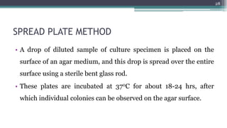 SPREAD PLATE METHOD
• A drop of diluted sample of culture specimen is placed on the
surface of an agar medium, and this drop is spread over the entire
surface using a sterile bent glass rod.
• These plates are incubated at 370C for about 18-24 hrs, after
which individual colonies can be observed on the agar surface.
28
 