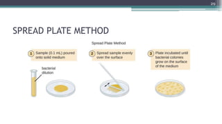 SPREAD PLATE METHOD
29
 