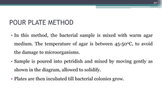POUR PLATE METHOD
• In this method, the bacterial sample is mixed with warm agar
medium. The temperature of agar is between 45-500C, to avoid
the damage to microorganisms.
• Sample is poured into petridish and mixed by moving gently as
shown in the diagram, allowed to solidify.
• Plates are then incubated till bacterial colonies grow.
30
 