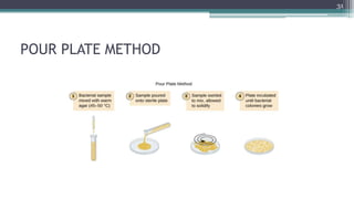 POUR PLATE METHOD
31
 