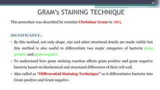 GRAM’s STAINING TECHNIQUE
This procedure was described by scientist Christian Gram in 1884.
SIGNIFICANCE:
• By this method, not only shape, size and other structural details are made visible but
this method is also useful to differentiate two major categories of bacteria gram
positive and gram negative.
• To understand how gram staining reaction affects gram positive and gram negative
bacteria based on biochemical and structural differences of their cell wall.
• Also called as “Differential Staining Technique” as it differentiates bacteria into
Gram positive and Gram negative.
40
 