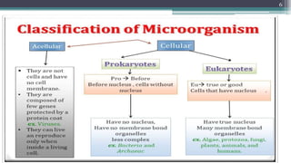 Classification of Microorganisms
6
 
