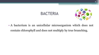 BACTERIA
• A bacterium is an unicellular microorganism which does not
contain chlorophyll and does not multiply by true branching.
9
 