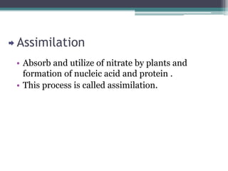 MICROBIOLOGY.pptx