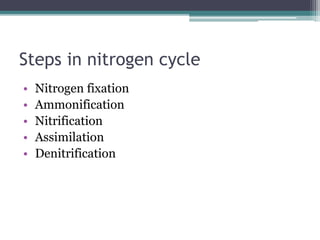 MICROBIOLOGY.pptx