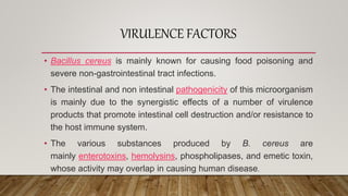 VIRULENCE FACTORS
• Bacillus cereus is mainly known for causing food poisoning and
severe non-gastrointestinal tract infections.
• The intestinal and non intestinal pathogenicity of this microorganism
is mainly due to the synergistic effects of a number of virulence
products that promote intestinal cell destruction and/or resistance to
the host immune system.
• The various substances produced by B. cereus are
mainly enterotoxins, hemolysins, phospholipases, and emetic toxin,
whose activity may overlap in causing human disease.
 