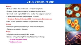 VIRUS, VIROIDS, PRIONS
Viruses:
• Acellular entities that must invade a host cell to replicate.
• Simplest viruses are composed of proteins and nucleic acids.
• Extremely small—up to 10,000 times smaller than a typical bacterium.
• Cause many animal and plant diseases, including:
• Smallpox, Rabies, Influenza, AIDS, Common cold, Some cancers
• Have caused epidemics that have shaped human history.
Viroids:
• Infectious agents composed only of ribonucleic acid (RNA).
• Cause numerous plant diseases.
Prions:
• Infectious agents composed only of protein.
• Cause a variety of spongiform encephalopathies, including:
• Scrapie disease in sheep
• Mad cow disease
 