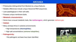 • Prokaryotes distinguished from Bacteria by unique features.
• Notable differences include unique ribosomal RNA sequences.
• Lack peptidoglycan in their cell walls.
• Possess unique membrane lipids.
• Metabolic characteristics:
• Some have unusual metabolic traits, like methanogens, which generate methane gas.
• Habitat:
• Many archaea thrive in extreme environments:
• High temperatures (thermophiles).
• High salt concentrations (extreme halophiles).
• Pathogenicity:
• No pathogenic archaea have been identified.
ARCHAEA
 