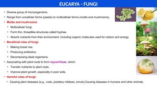 • Diverse group of microorganisms.
• Range from unicellular forms (yeasts) to multicellular forms (molds and mushrooms).
• Molds and mushrooms:
• Multicellular fungi.
• Form thin, threadlike structures called hyphae.
• Absorb nutrients from their environment, including organic molecules used for carbon and energy.
• Beneficial roles of fungi:
• Making bread rise.
• Producing antibiotics.
• Decomposing dead organisms.
• Associating with plant roots to form mycorrhizae, which:
• Transfer nutrients to plant roots.
• Improve plant growth, especially in poor soils.
• Harmful roles of fungi:
• Causing plant diseases (e.g., rusts, powdery mildews, smuts).Causing diseases in humans and other animals.
EUCARYA - FUNGI
 
