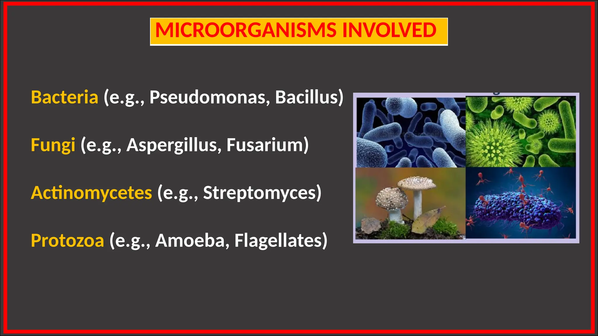 Microbial degradation of organic matter in soil.pptx