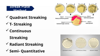 CULTURE MEDIA DETAILS ABOUT CULTURE PROCEDURE IN LABORATORY.pptx