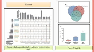 Results
Figure 4: Pathogens identify by MeltArray protocol in this
study
Figure 5(A)&(B)
 