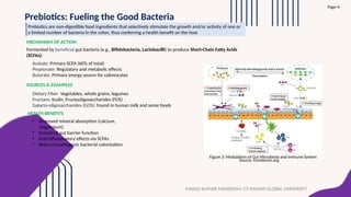 Inulin Food Sources Prebiotics, Probiotics, and Microbial Fuel Cells: Linking Health ...