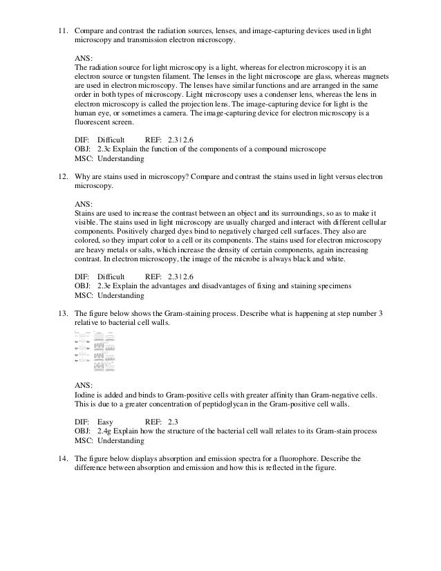 Microbiology An Evolving Science 4th Edition Slonczewski Test Bank