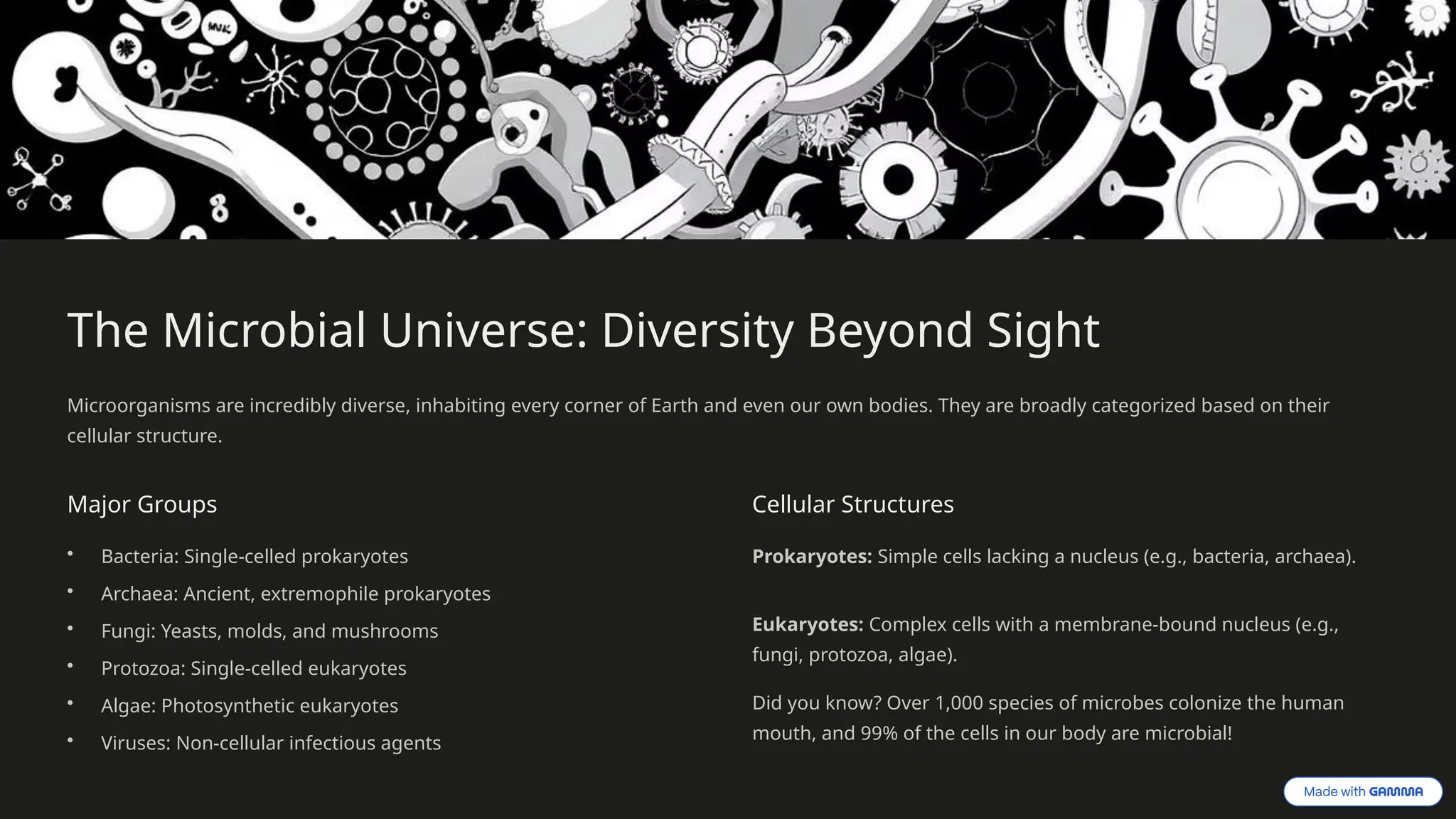The Microbial Universe: Diversity Beyond Sight
Microorganisms are incredibly diverse, inhabiting every corner of Earth and even our own bodies. They are broadly categorized based on their
cellular structure.
Major Groups
• Bacteria: Single-celled prokaryotes
• Archaea: Ancient, extremophile prokaryotes
• Fungi: Yeasts, molds, and mushrooms
• Protozoa: Single-celled eukaryotes
• Algae: Photosynthetic eukaryotes
• Viruses: Non-cellular infectious agents
Cellular Structures
Prokaryotes: Simple cells lacking a nucleus (e.g., bacteria, archaea).
Eukaryotes: Complex cells with a membrane-bound nucleus (e.g.,
fungi, protozoa, algae).
Did you know? Over 1,000 species of microbes colonize the human
mouth, and 99% of the cells in our body are microbial!
 