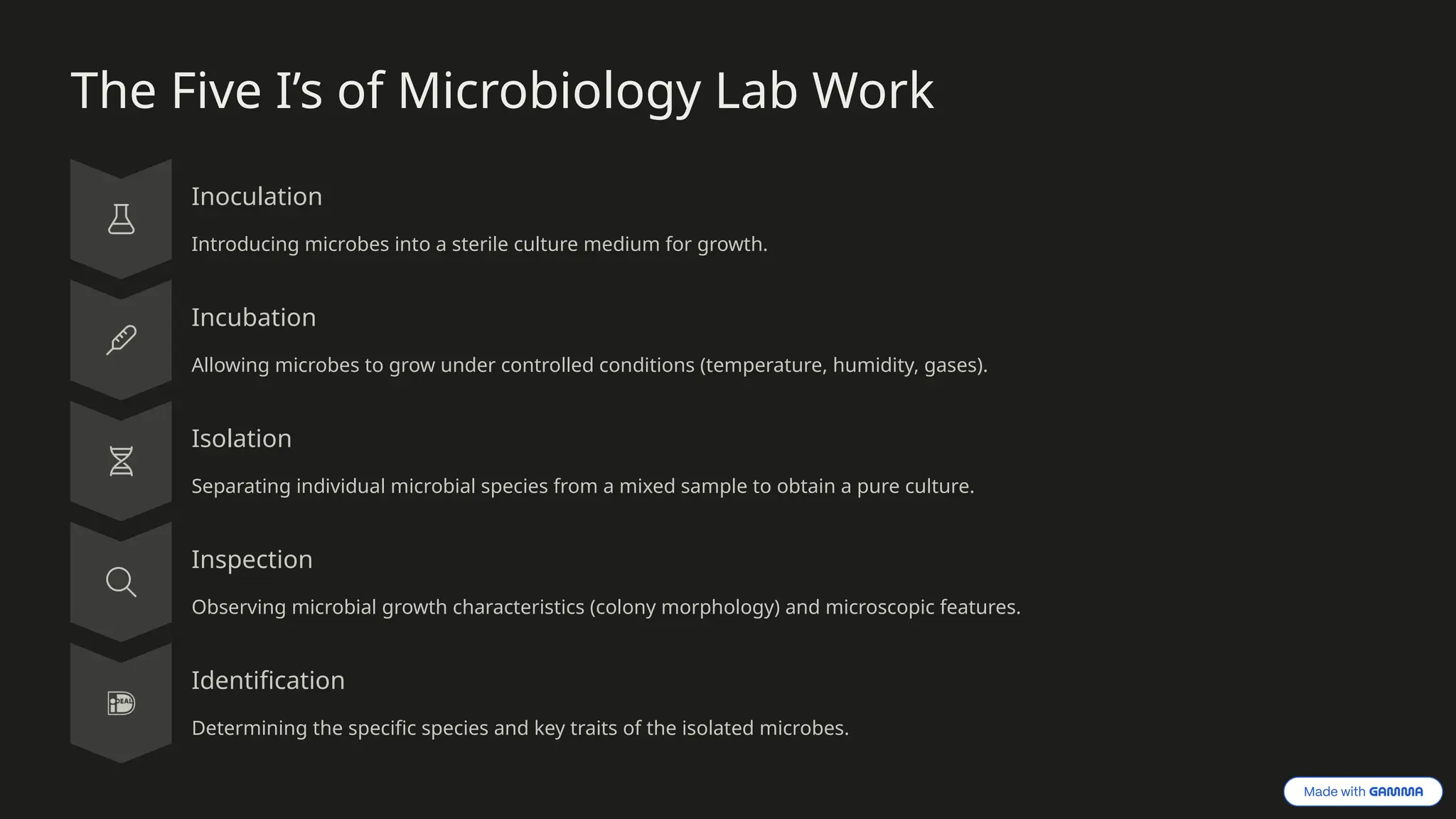 The Five I’s of Microbiology Lab Work
Inoculation
Introducing microbes into a sterile culture medium for growth.
Incubation
Allowing microbes to grow under controlled conditions (temperature, humidity, gases).
Isolation
Separating individual microbial species from a mixed sample to obtain a pure culture.
Inspection
Observing microbial growth characteristics (colony morphology) and microscopic features.
Identification
Determining the specific species and key traits of the isolated microbes.
 
