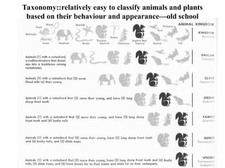 Taxonomy::relatively easy to classify animals and plants
based on their behaviour and appearance—old school
 