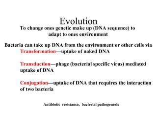 Evolution
To change ones genetic make up (DNA sequence) to
adapt to ones environment
Bacteria can take up DNA from the environment or other cells via
Transformation—uptake of naked DNA
Transduction—phage (bacterial specific virus) mediated
uptake of DNA
Conjugation—uptake of DNA that requires the interaction
of two bacteria
Antibiotic resistance, bacterial pathogenesis
 