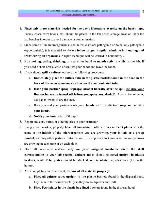 Microbiology lab practical PDF