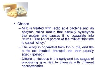 • Cheese
– Milk is treated with lactic acid bacteria and an
enzyme called rennin that partially hydrolyses
the protein and causes it to coagulate into
“curds.” The liquid portion of the milk at this time
is called “whey.”
– The whey is separated from the curds, and the
curds are heated, pressed and then usually
aged (ripened).
– Different microbes in the early and late stages of
processing give rise to cheeses with different
characteristics.
 