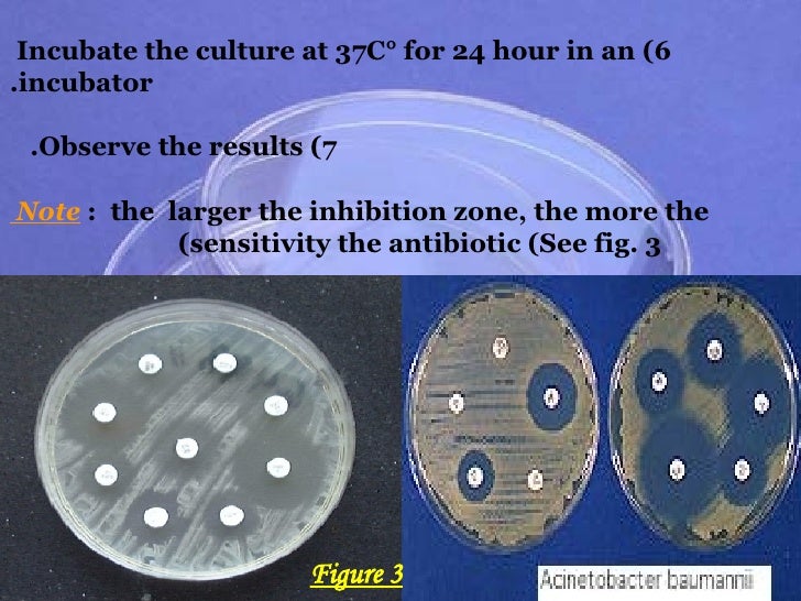 Microbiology Power Point