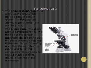 Annulus Microscope microbiology 1.pptx