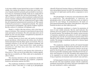 123456wr46yu676yu66microbiology[1]etry.pdf