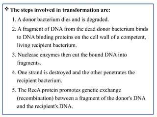 The steps involved in transformation are:
1. A donor bacterium dies and is degraded.
2. A fragment of DNA from the dead donor bacterium binds
to DNA binding proteins on the cell wall of a competent,
living recipient bacterium.
3. Nuclease enzymes then cut the bound DNA into
fragments.
4. One strand is destroyed and the other penetrates the
recipient bacterium.
5. The RecA protein promotes genetic exchange
(recombination) between a fragment of the donor's DNA
and the recipient's DNA.
 