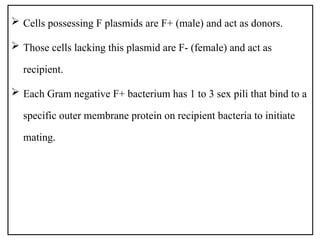  Cells possessing F plasmids are F+ (male) and act as donors.
 Those cells lacking this plasmid are F- (female) and act as
recipient.
 Each Gram negative F+ bacterium has 1 to 3 sex pili that bind to a
specific outer membrane protein on recipient bacteria to initiate
mating.
 