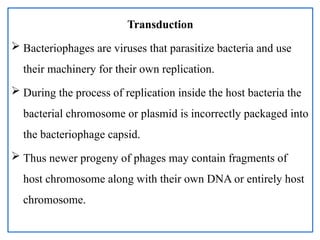 Transduction
 Bacteriophages are viruses that parasitize bacteria and use
their machinery for their own replication.
 During the process of replication inside the host bacteria the
bacterial chromosome or plasmid is incorrectly packaged into
the bacteriophage capsid.
 Thus newer progeny of phages may contain fragments of
host chromosome along with their own DNA or entirely host
chromosome.
 