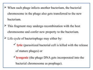  When such phage infects another bacterium, the bacterial
chromosome in the phage also gets transferred to the new
bacterium.
 This fragment may undergo recombination with the host
chromosome and confer new property to the bacterium.
 Life cycle of bacteriophage may either by:
 lytic (parasitized bacterial cell is killed with the release
of mature phages) or
lysogenic (the phage DNA gets incorporated into the
bacterial chromosome as prophage).
 