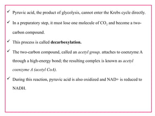  Pyruvic acid, the product of glycolysis, cannot enter the Krebs cycle directly.
 In a preparatory step, it must lose one molecule of CO2 and become a two-
carbon compound.
 This process is called decarboxylation.
 The two-carbon compound, called an acetyl group, attaches to coenzyme A
through a high-energy bond; the resulting complex is known as acetyl
coenzyme A (acetyl CoA).
 During this reaction, pyruvic acid is also oxidized and NAD+ is reduced to
NADH.
 