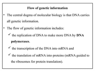 Flow of genetic information
• The central dogma of molecular biology is that DNA carries
all genetic information.
• The flow of genetic information includes:
 the replication of DNA to make more DNA by DNA
polymerases.
 the transcription of the DNA into mRNA and
 the translation of mRNA into proteins (mRNA guided to
the ribosomes for protein translation).
 