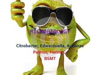 MICROBIOLOGY
Citrobacter, Edwardsiella, Arizonae
Palmos, Hanna C.
BSMT

 